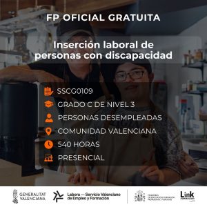 Curso de Inserción laboral de personas con discapacidad para desempleados - Link Formación