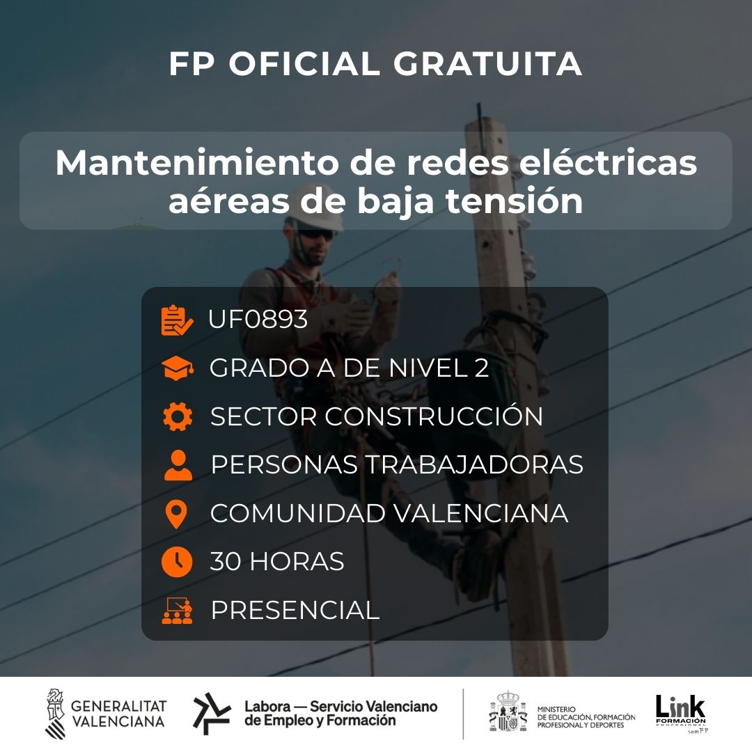 Curso de Mantenimiento de redes eléctricas aéreas de baja tensión para trabajadores - Link Formación