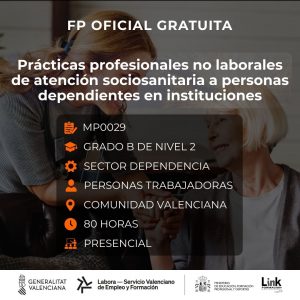 Curso de Atención sociosanitaria a personas dependientes en instituciones para trabajadores - Link Formación